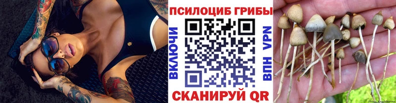 как найти наркотики  Оханск  Галлюциногенные грибы Magic Shrooms 